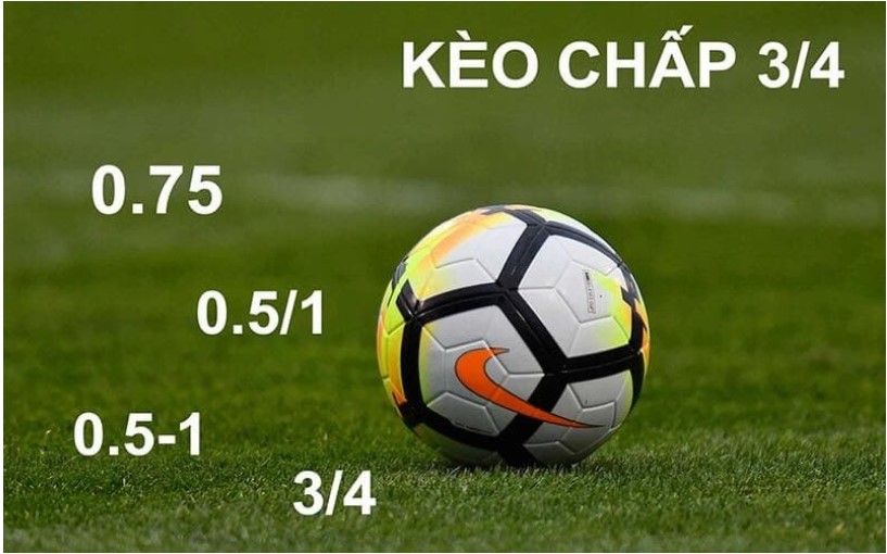 keo chap 1 4 la gi 3