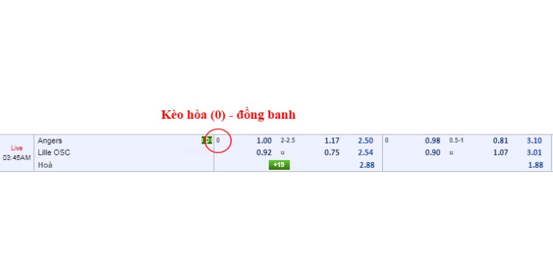 kinh nghiem bat keo chap dong banh cho nguoi moi